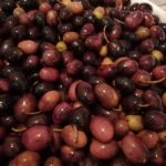 Le nostre Olive in salamoia | Agriturismo Il Castagneto - Castiglione Chiavarese | Liguria |